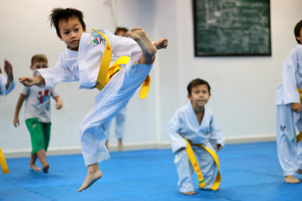 TKD Little Tigers (7-10) Med-Adv